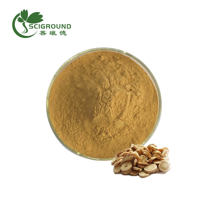 Astragalus Extract Powder